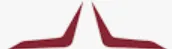 Evolution Space logo