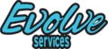 Evolve Services logo