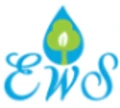 EWS Consultancy Services