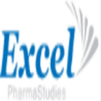 Excel China logo