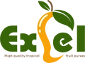 Excel Foods India