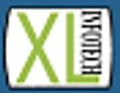 Excel Infotech logo