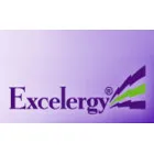 Excelergy logo