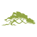 Exotic Woods logo