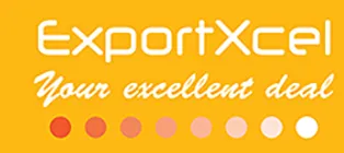 ExportXcel logo