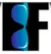 EyeFye logo