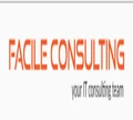 Facile Consulting
