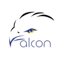 Falcon CleanTech