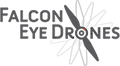 Falcon Eye Drones logo