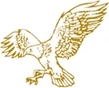 Falcon Foods