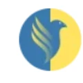 Falcon Informatics