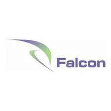 Falcon Consulting Group logo