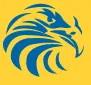 Falcon Stainless logo