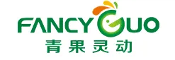 FancyGuo logo