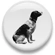 Fat Spaniel logo