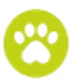 FAVLY Pet Solutions logo