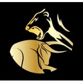 FDG Capital logo