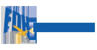 FDH Financial Holdings logo