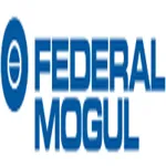 Federal-Mogul Goetze