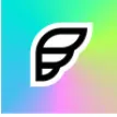Feels logo