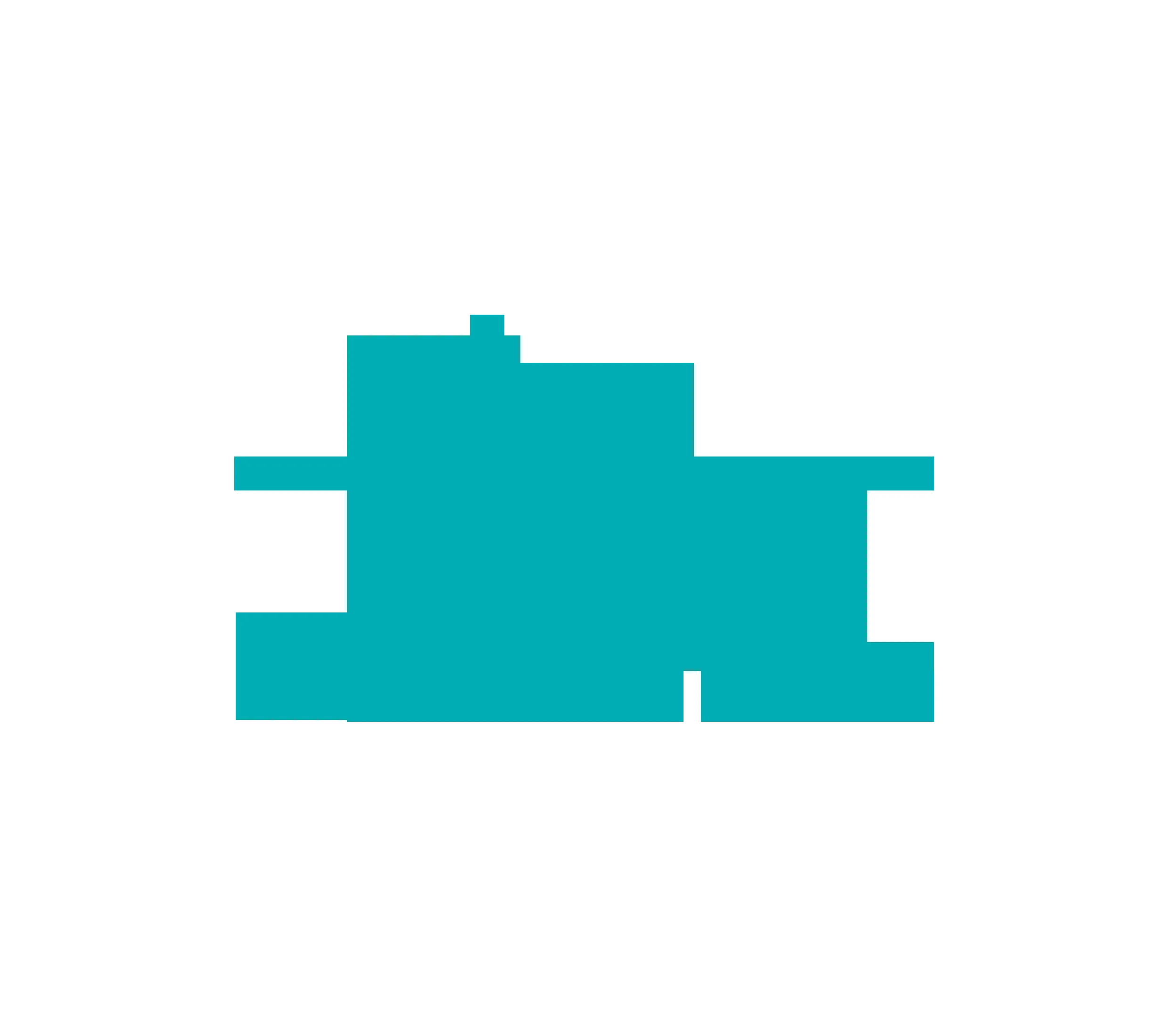 FemiSafe logo