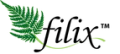 Filix Consulting
