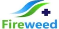 Fireweed
