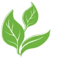 First Food Organics logo