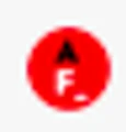 FLAMENCO logo