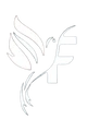 Flamingo Web Solutions