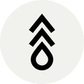Flash Forest logo