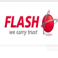 Flash Global logo