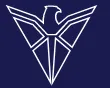 Flash Group