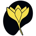 Flavus logo
