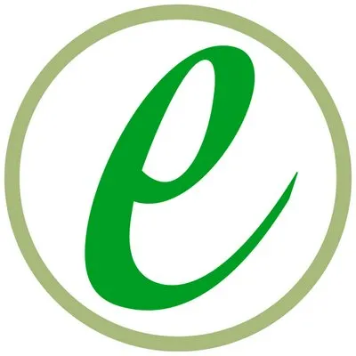 Flint Energies logo