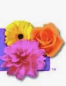 Floral Computer Systems