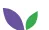 Florisoft logo