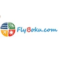 Flyboku
