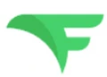 Flying V Group logo
