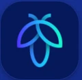 FlyScreen logo