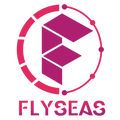 Flyseas