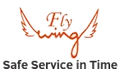 Flywing Cargo