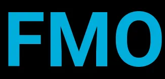 FMO NYC logo