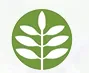 First Natural Brands logo