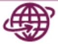 Focus Express Cargo