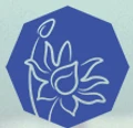 FOCUSCRAFT Tech