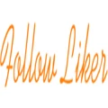 Follow Liker logo