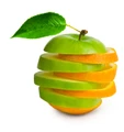 Food Data Services logo