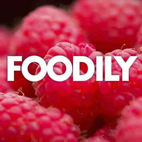 Foodily logo