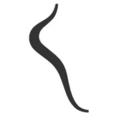 FootBalance logo